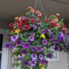 Hanging Basket